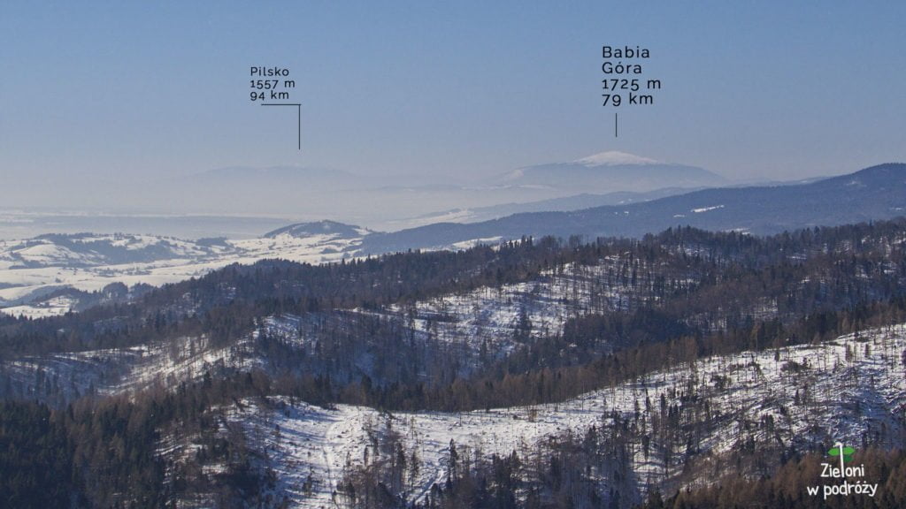 Widok na Babią Górę z polan poniżej szczytu Radziejowej