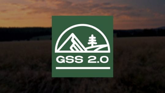 GSS 2